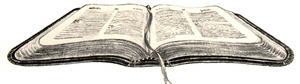 open Bible logo